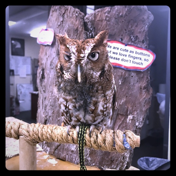 Meet your Posher, Kristen - Picture 1 of 1